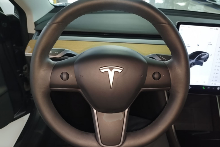 Tesla Model 3 2020 car image #11