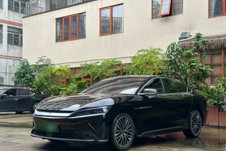BYD Han 2020 immagine di auto #2