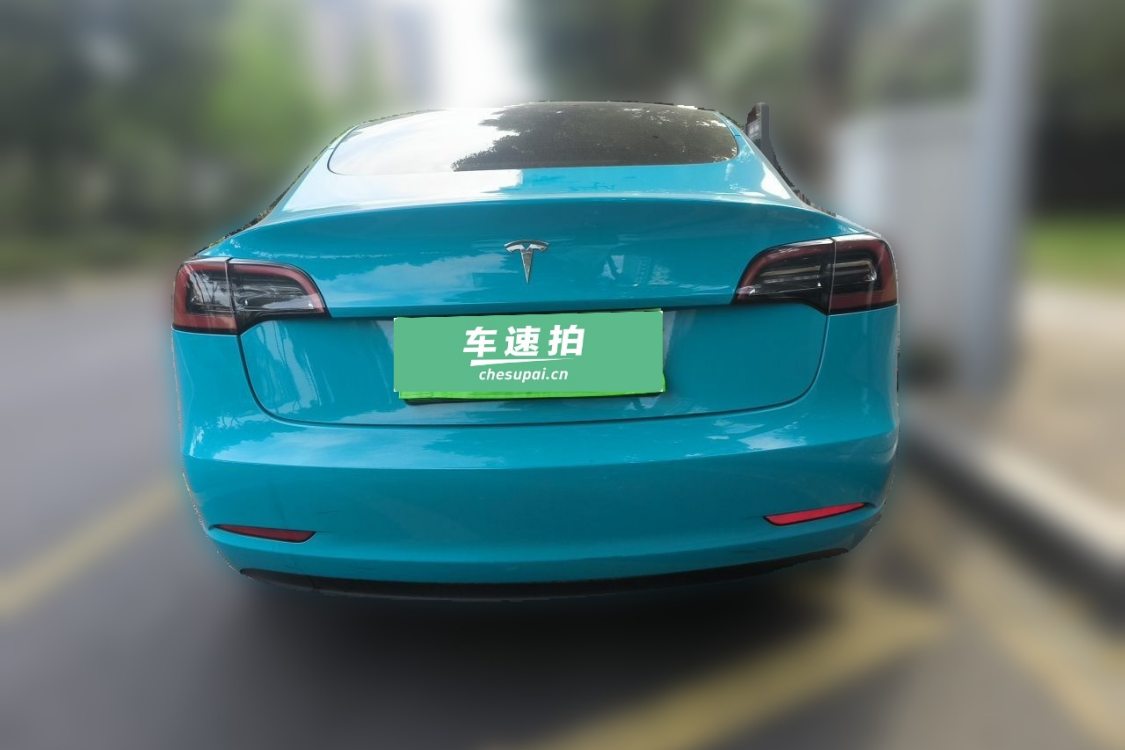 Tesla Model 3 2021 car image #6