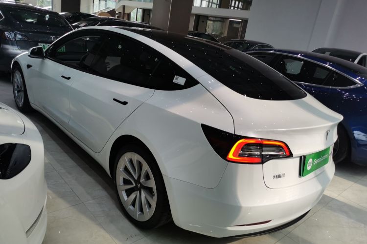 Tesla Model 3 2021 #5 Tesla Model 3 2021 car image #5