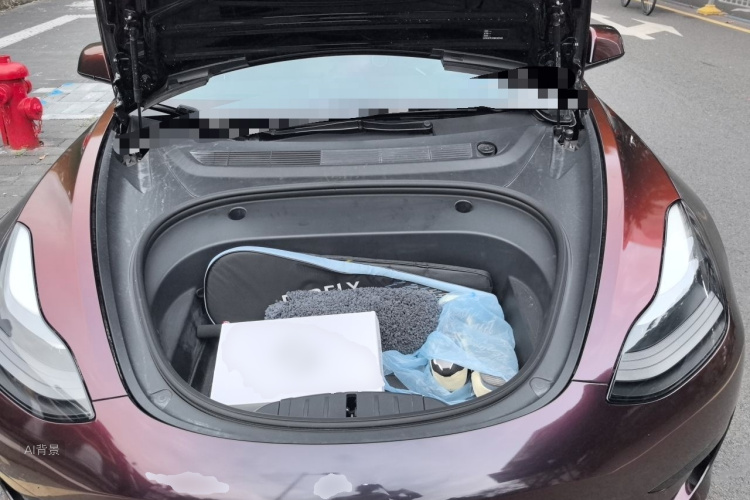 Tesla Model 3 2021 #22 Tesla Model 3 2021 car image #22