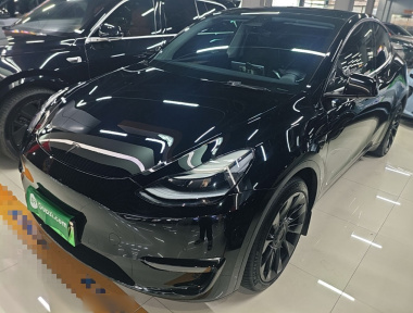 Tesla Model Y 2021 Tesla Model Y 2021 car image