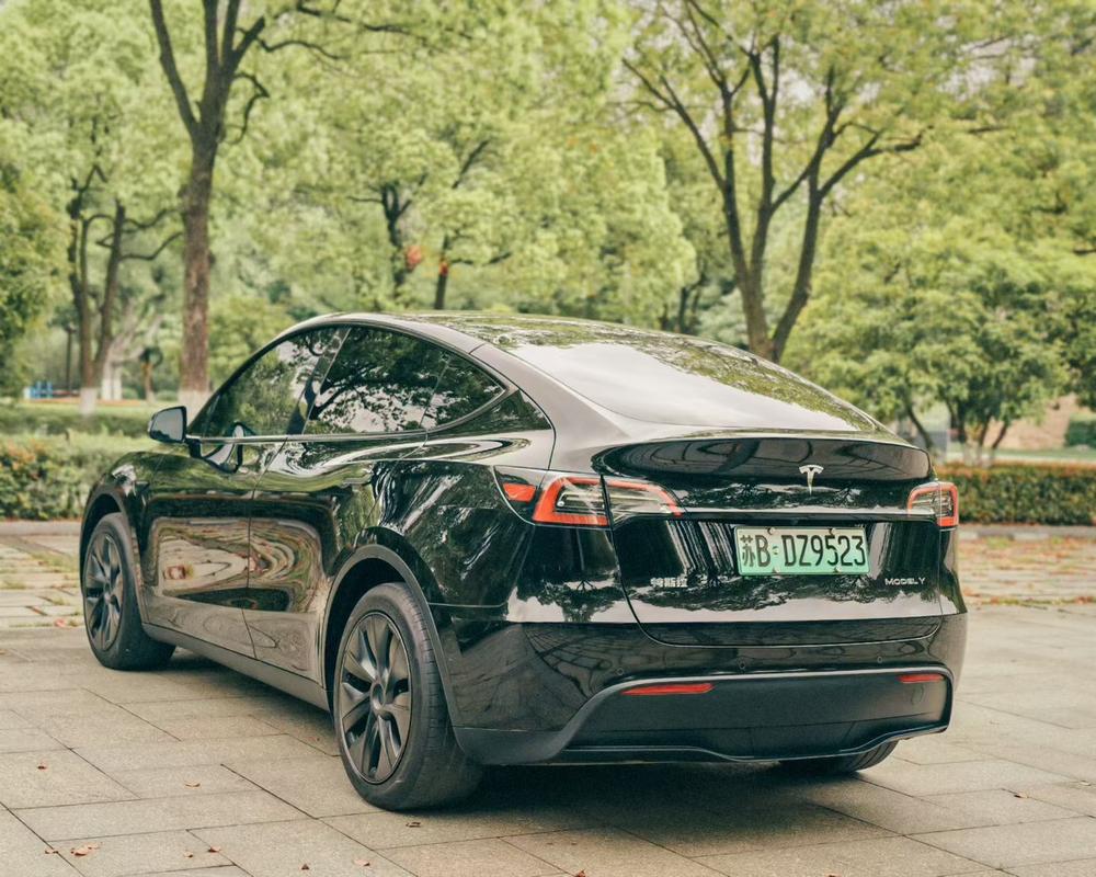 Tesla Model Y 2023 car image #4