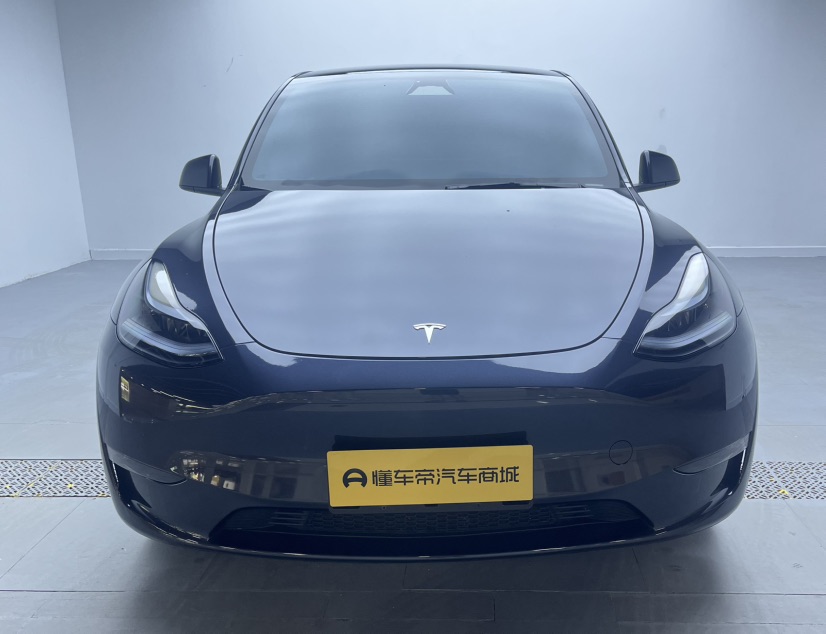 Tesla Model Y 2024 car image 