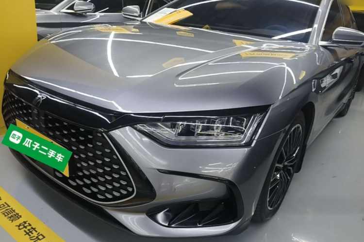 BYD Han 2023 immagine di auto #2