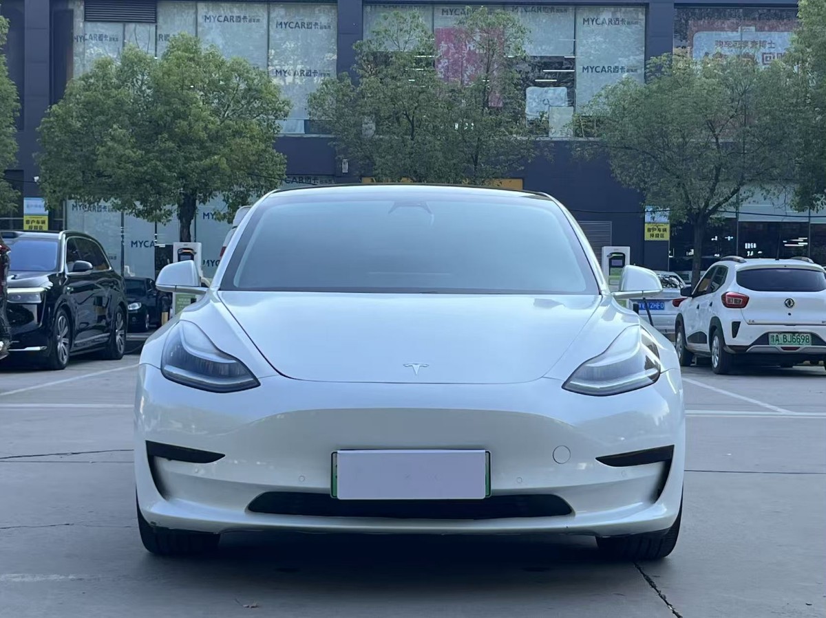 Tesla Model 3 2020 #2 Tesla Model 3 2020 car image #2