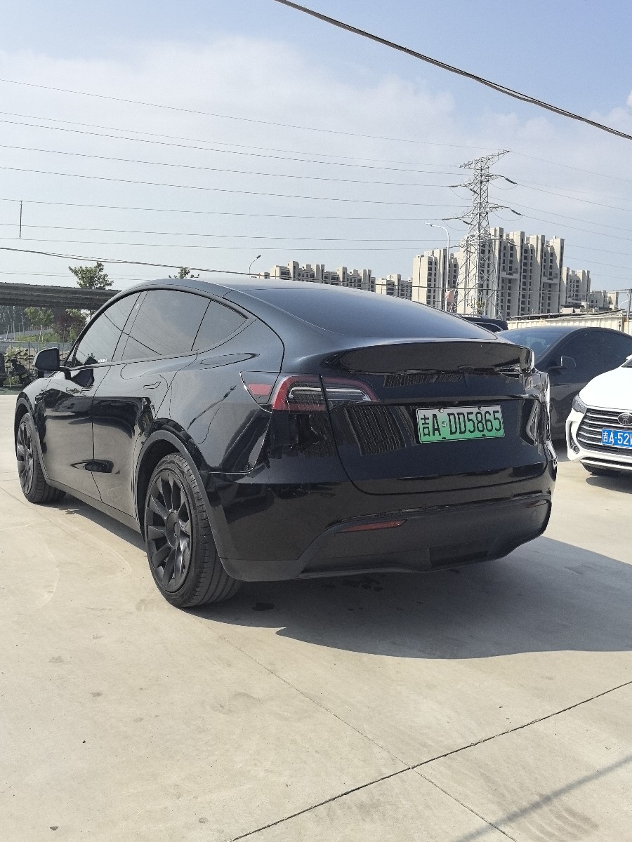 Tesla Model Y 2021 car image #9