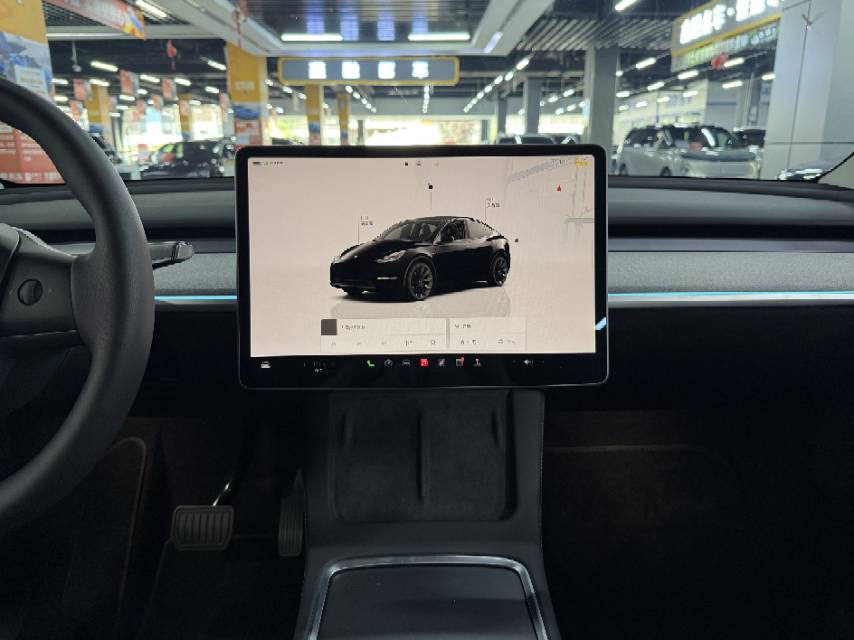 Tesla Model Y 2023 #15 Tesla Model Y 2023 car image #15