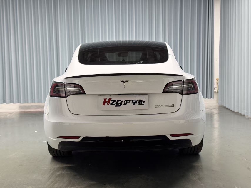 Tesla Model 3 2022 car image #8