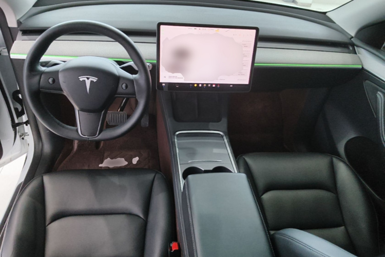 Tesla Model Y 2024 car image #10