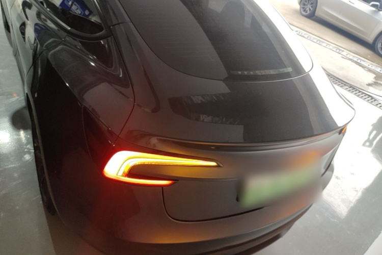 Tesla Model 3 2024 imagem de carro #6