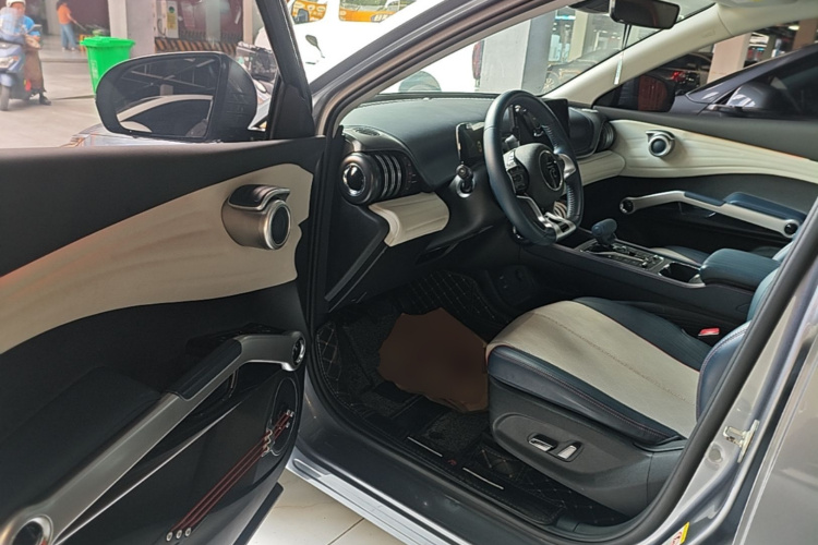 BYD Yuan Plus 2022 car image #16