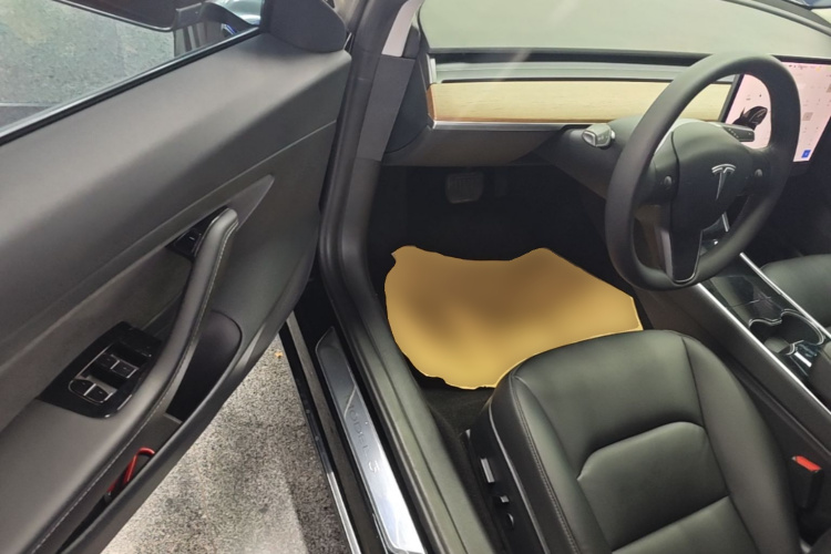 Tesla Model 3 2020 car image #16
