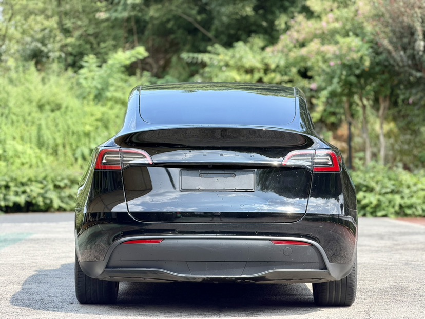 Tesla Model Y 2023 #3 Tesla Model Y 2023 car image #3