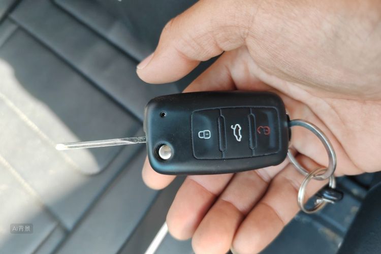 Volkswagen Polo 2019 car image #10