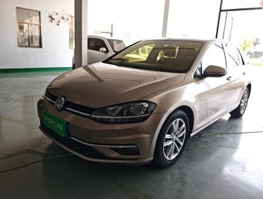 Volkswagen Golf 2019 car image 