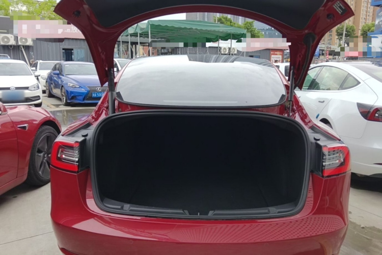 Tesla Model 3 2021 #19 Tesla Model 3 2021 car image #19