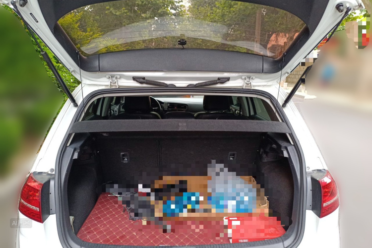 Volkswagen Golf 2016 car image #21