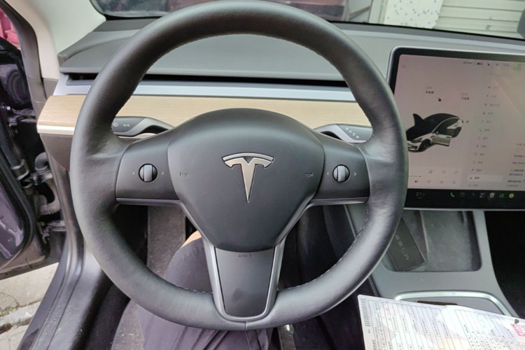 Tesla Model 3 2021 car image #11