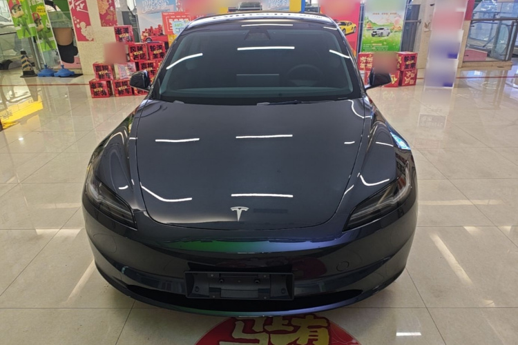 Tesla Model 3 2024 #3 Tesla Model 3 2024 car image #3