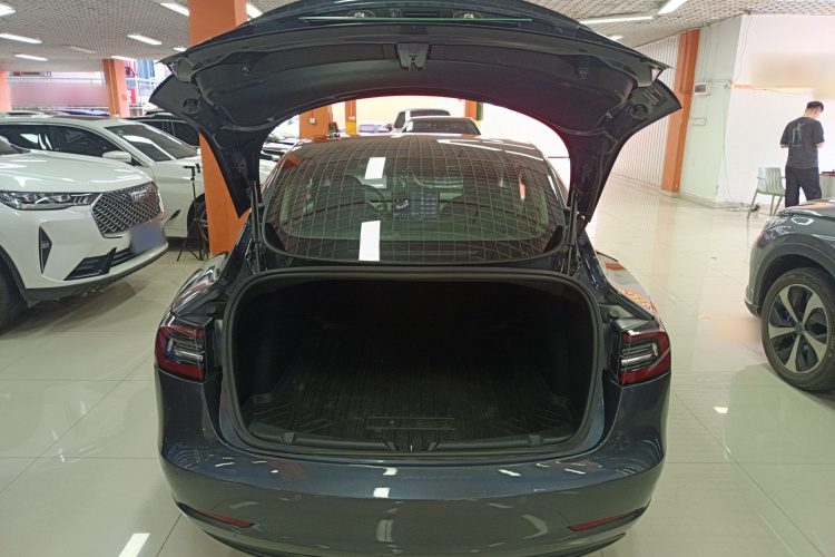 Tesla Model 3 2020 immagine di auto #19