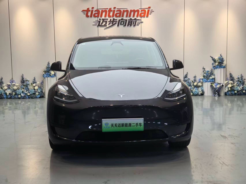Tesla Model Y 2024 #2 Tesla Model Y 2024 car image #2