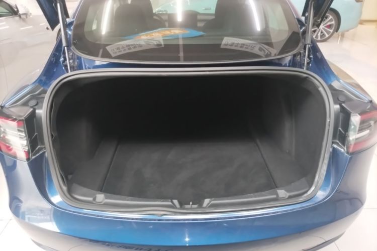 Tesla Model 3 2020 car image #19