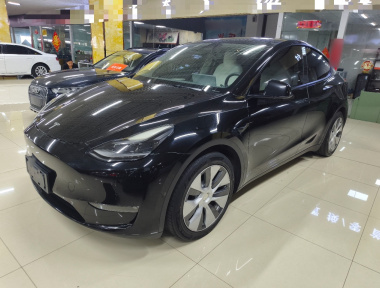 Tesla Model Y 2021 car image 