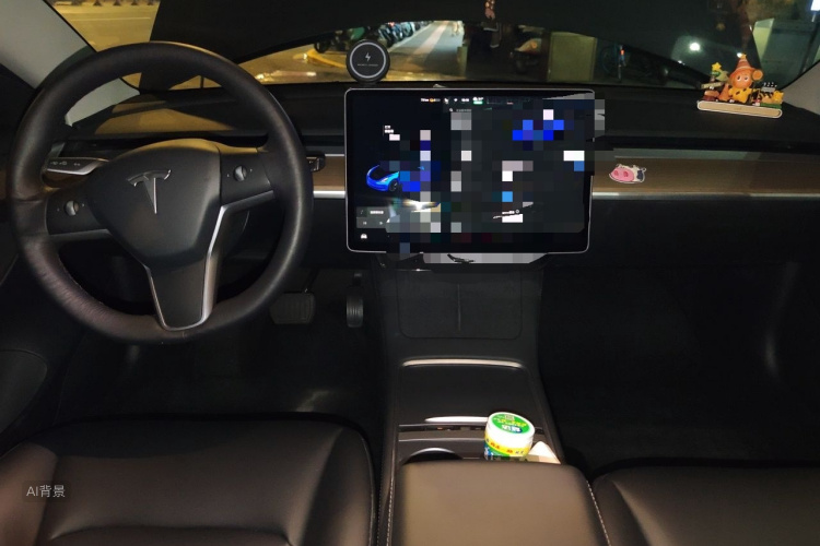 Tesla Model 3 2021 car image #11