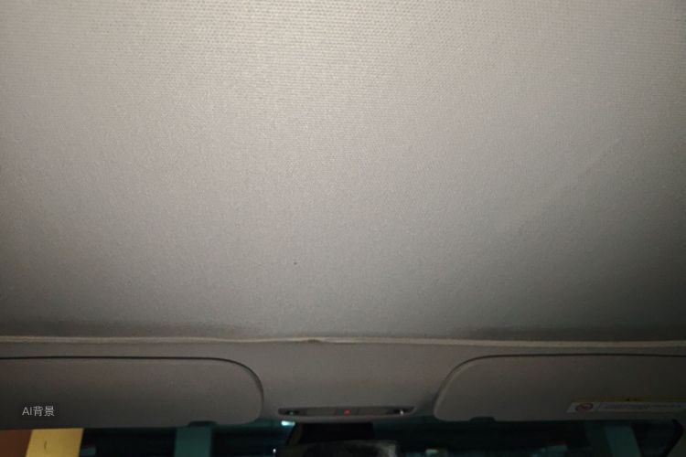 Tesla Model 3 2022 car image #20
