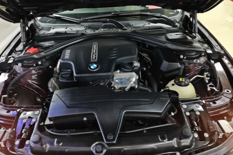 BMW 3 Series 2016 car image #22