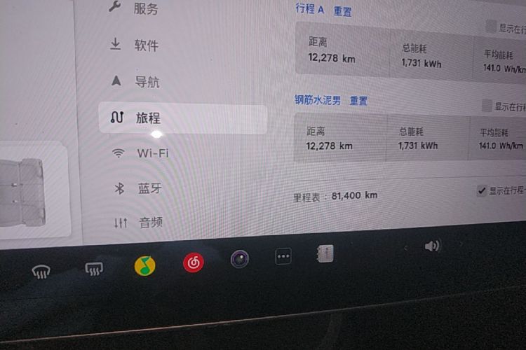 Tesla Model 3 2021 car image #12