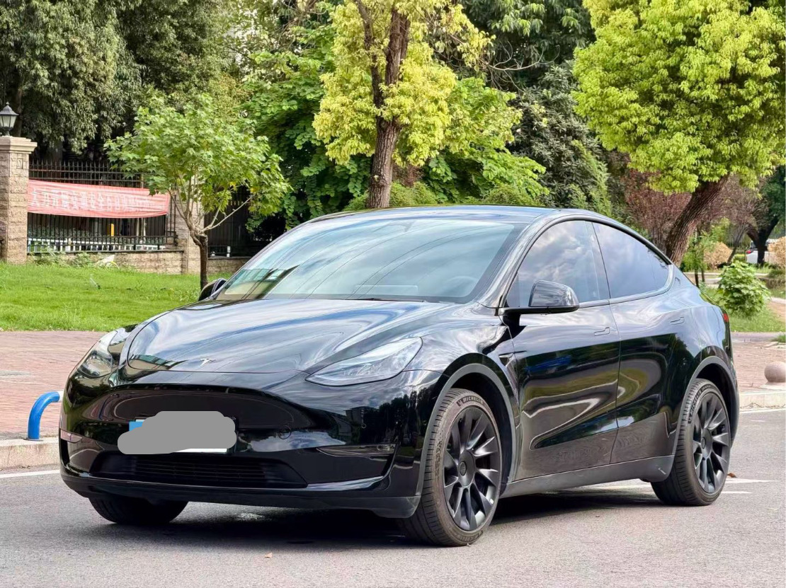 Tesla Model Y 2023 car image 