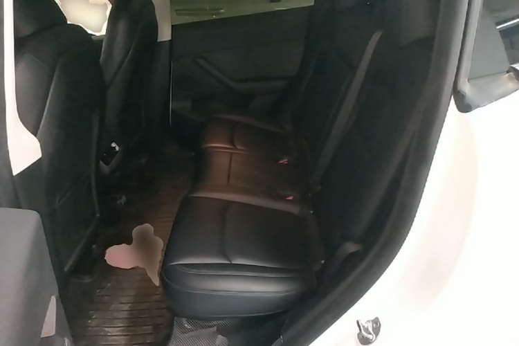 Tesla Model Y 2024 car image #17