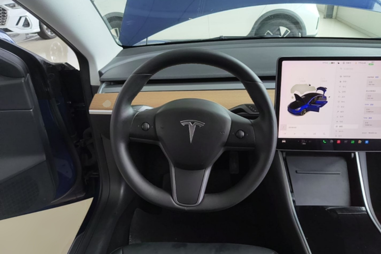 Tesla Model 3 2020 car image #11