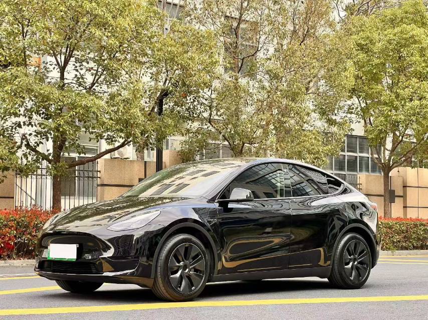 Tesla Model Y 2024 car image 