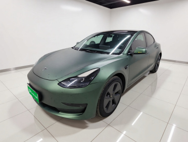 Tesla Model 3 2022 Tesla Model 3 2022 car image