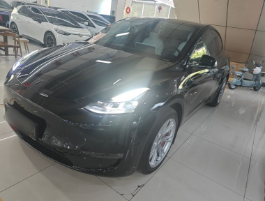 Tesla Model Y 2023 car image 