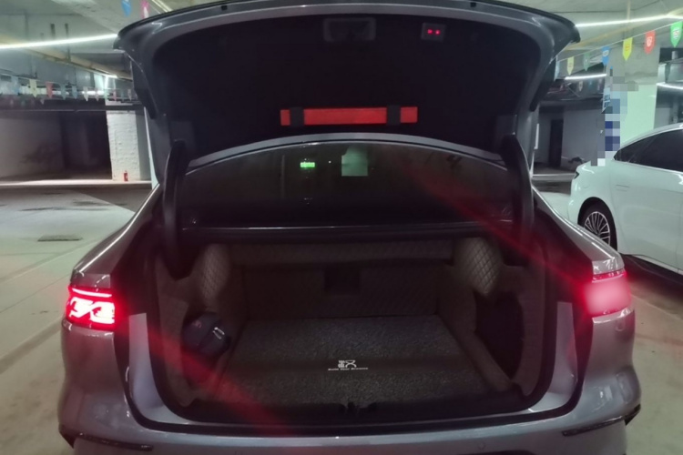 BYD Han 2022 car image #19
