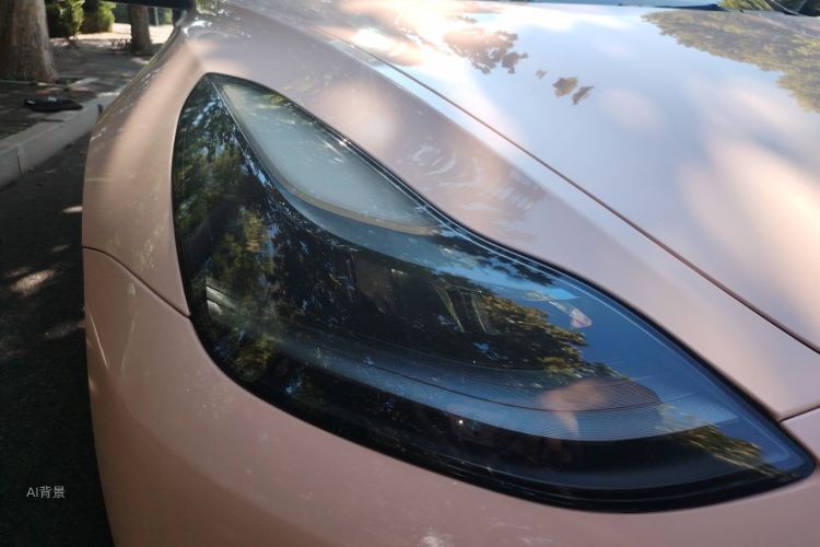 Tesla Model 3 2023 #8 Tesla Model 3 2023 car image #8