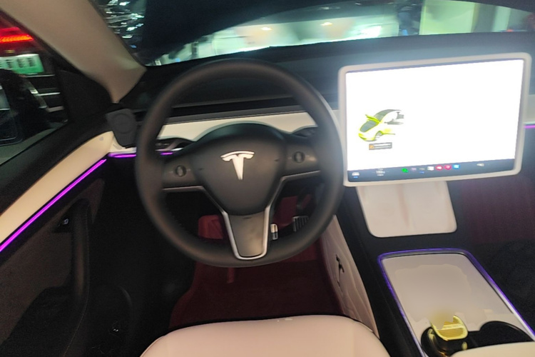 Tesla Model Y 2021 car image #11