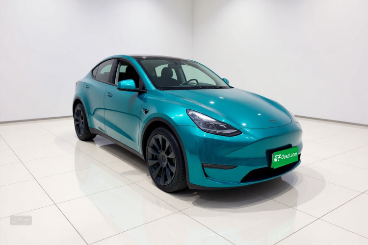 Tesla Model Y 2021 car image #4