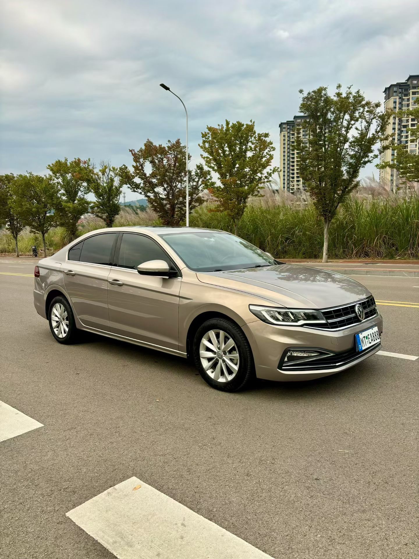 Volkswagen Bora 2019 imagen de coche #2