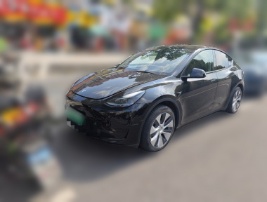 Tesla Model Y 2023 Tesla Model Y 2023 car image