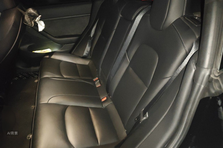 Tesla Model 3 2023 car image #19