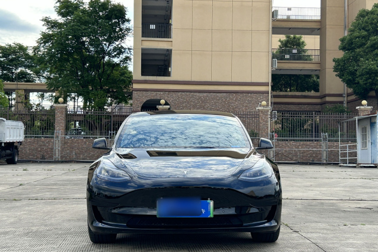 Tesla Model 3 2021 #3 Tesla Model 3 2021 car image #3