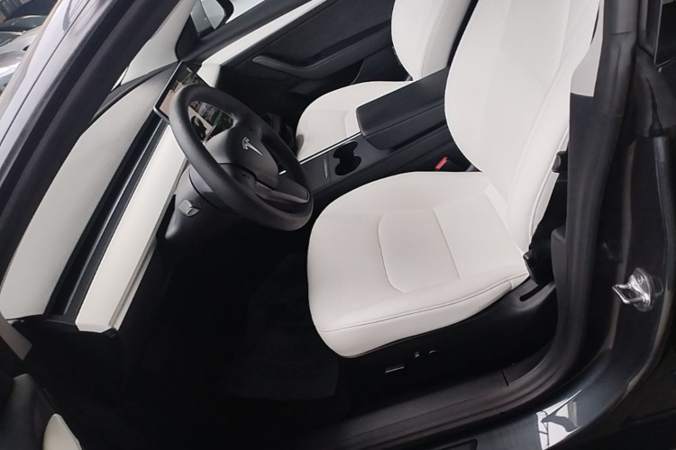 Tesla Model 3 2021 #15 Tesla Model 3 2021 immagine di auto #15