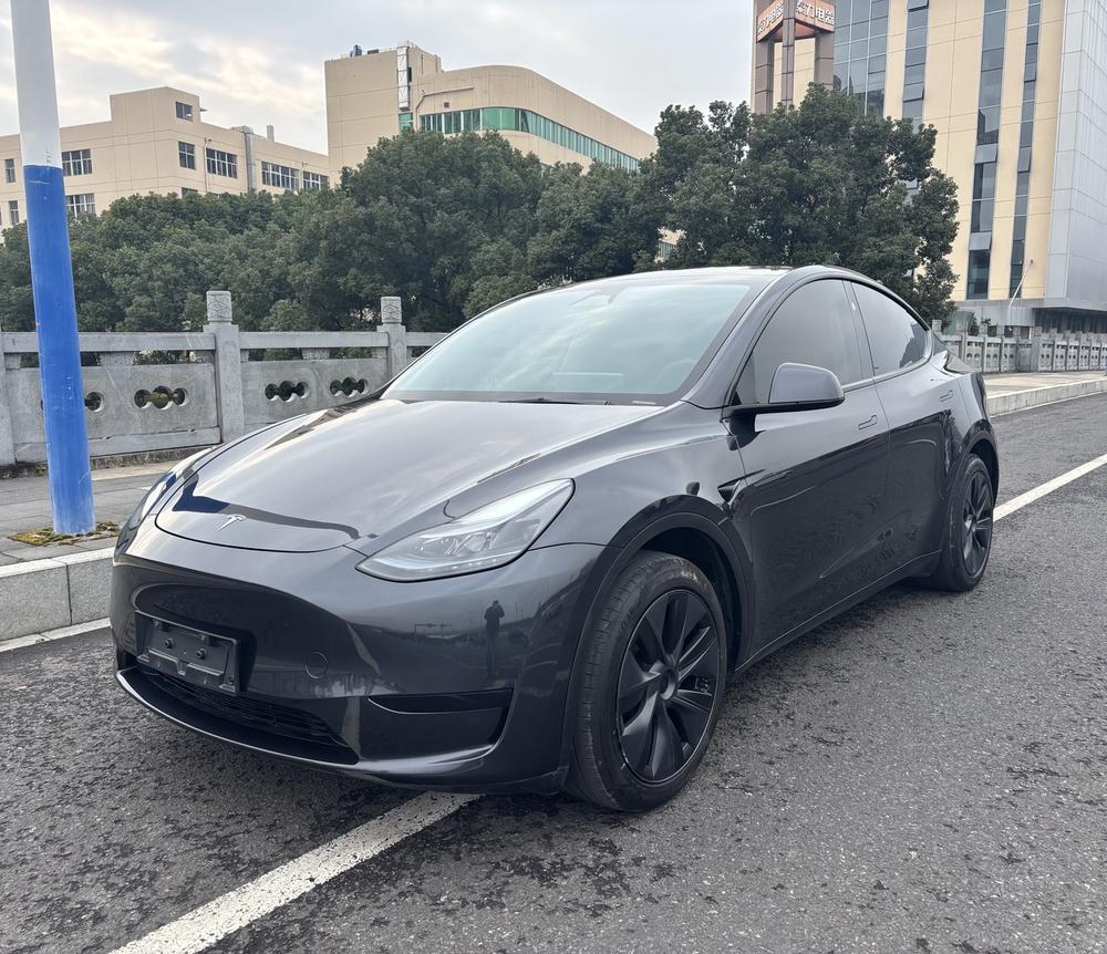 Tesla Model Y 2024 car image 