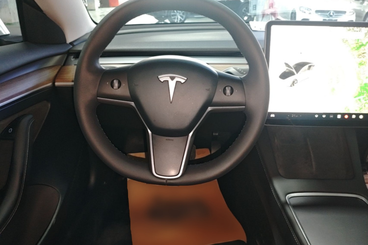 Tesla Model 3 2021 car image #15