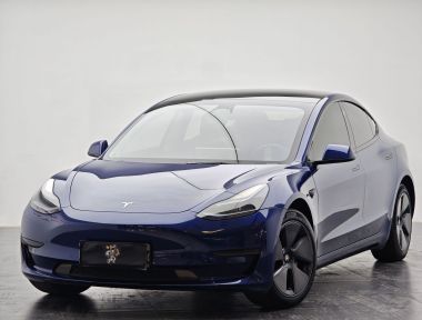 Tesla Model 3 2023 car image 
